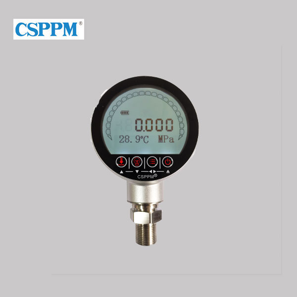 PPM-SXYB-P（G）高精度数显压力表 